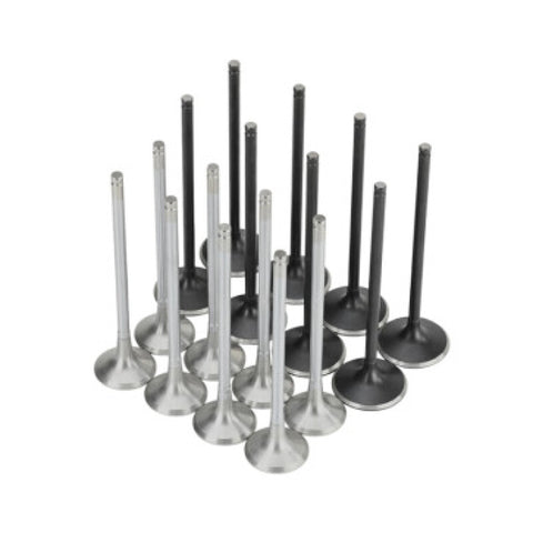 Skunk2 Honda K20C1 Alpha Series Intake & Exhaust Valve Set (Standard Compression)