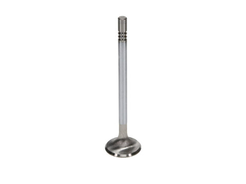 Manley Ford Modular Coyote 5.0L Gen III Race Master Series Exhaust Valve Set - 1.260in Dia