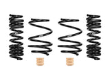 Eibach 20-24 BMW M3 Pro-Street Spring Kit