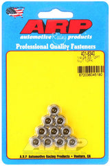 ARP 1/4-20in SS 12pt Nut Kit (10/pkg) #401-8340